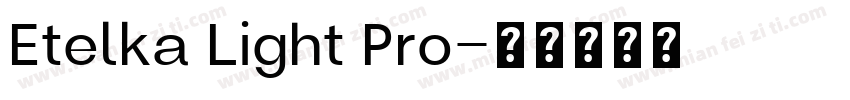 Etelka Light Pro字体转换